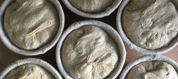  Is bread alive? 